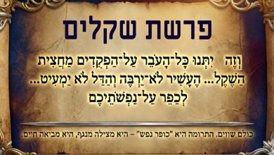 פרשת שקלים 17 parashat skalim פרשת שקלים