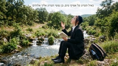 איפה המקום הכי טוב להתבודד ? | שו"ת המדריך המעשי להתבודדות 48 איפה הכי טוב להתבודד